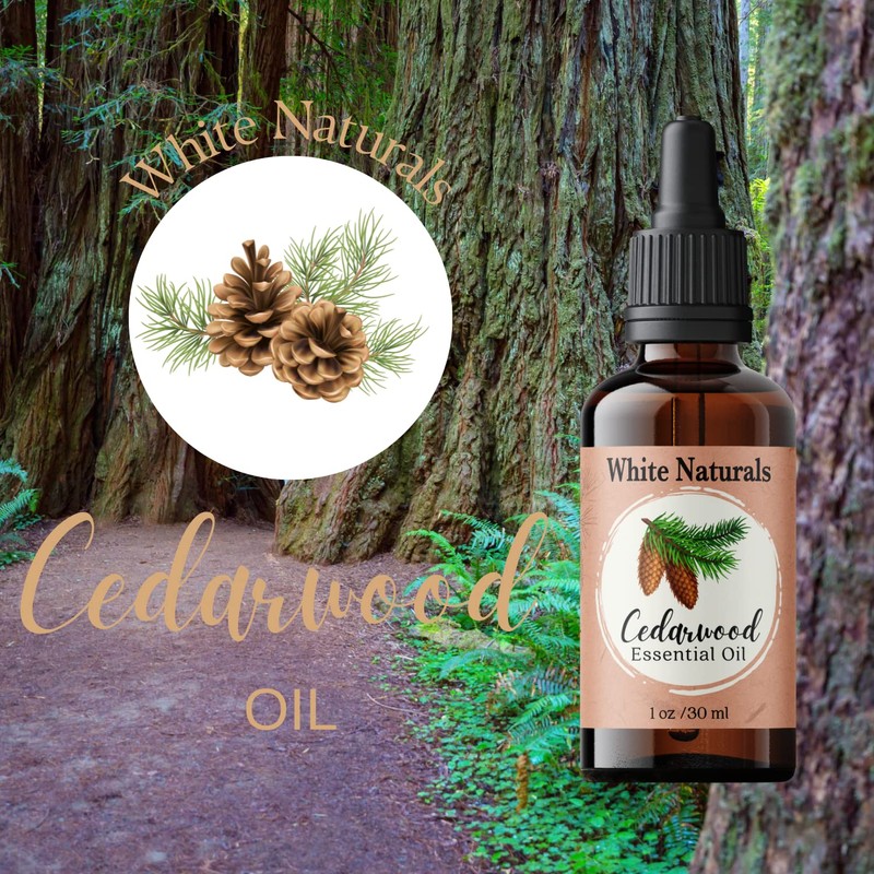 Cedarwood Essential Oil - 100% Pure Natural Undiluted, for Aromatherapy