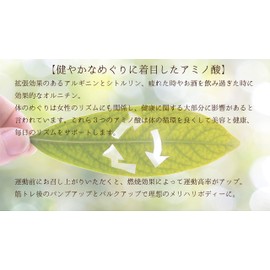 JAY&CO. 無添加原末100% アルギニン ・ シトルリン ・ オルニチン ・ クエン酸 (200g)