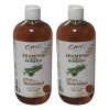 2 Shampoo De Romero 100 Orgánico Sin Parabenos Ni Sal
