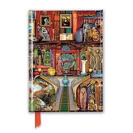 Aimee Stewart: Museum Bookshelves (Foiled Journal) (Flame Tree Notebooks)