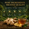 WOTIHA 150 Premium Ginger Tea Bags, 100% Pure Ginger Root,