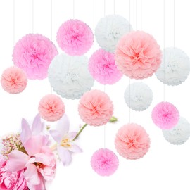 Himeland Pompoms Paper Flower Set of 15 for Wedding Baby Shower Garden Party Wedding as Children's Room Decoration