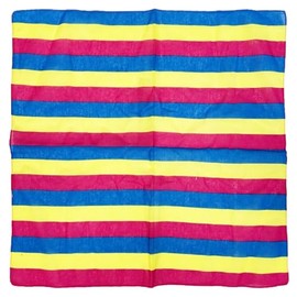 Zac's Alter Ego Gay Pride Festival Equality Pansexual Bandana