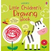 Little Children's Drawing Book