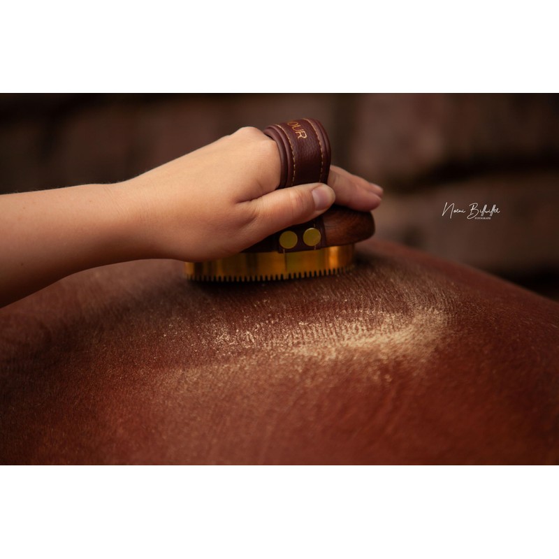 Equimour Metal Curry – Horse Curry with Brass Tines &