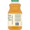 Santa Cruz Mango Lemonade Juice 32 fl. oz (Pack of