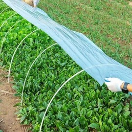 Greenhouse Vinyl Film 2m x 10m - Urban Farming Agricultural Material 10m