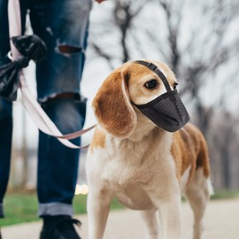 Dog Muzzle, Folded Soft Mesh Dog Muzzle for Small to Medium Sized Large Dogs with Adjustable Straps Fixed Buckles to Prevent Biting Chewing Licking Allows Drinking and Panting(Black, XL)