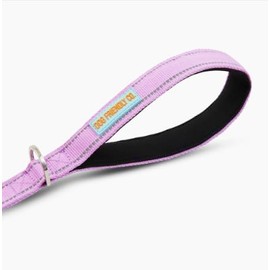 DF Co. Close Control Short Trainer Dog Leash | Strain Free & Shock Resistant, Durable Material, 65cm in Length, Heavy Duty Clips & D-Ring (Purple, Small)