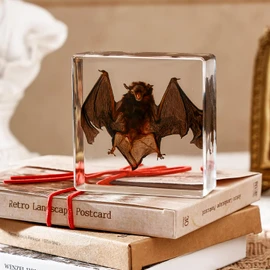 Taxidermy Bat, Real Bat Taxidermy Animals, Oddities Taxidermy, Resin Bat Taxidermy for Science Classroom Specimens Education, Great Gift for Taxidermy, Bat Decor, Oddities, Biology Enthusiasts-3x3x1in