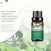 PHATOIL Essential Oil Peppermint 10ml Essential Oil Aroma Oil Present