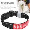 LED Pet Adjustable Collar USB Rechargeable Soft Dog Lighting Night