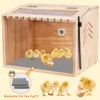 JOGEPEYO Chick Brooder Box, Small Brooder Box for Chicks, 5-8