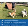 Interactive Flirt Pole Toy for Dogs Chase and Tug of