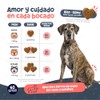 Waggys NAD+, Suplemento Antiedad y Longevidad para Perros, 60 pzs