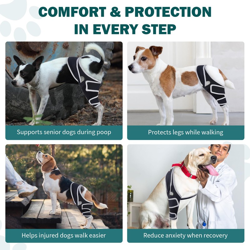 Dog Knee Brace for ACL Support, Adjustable Leg Brace for