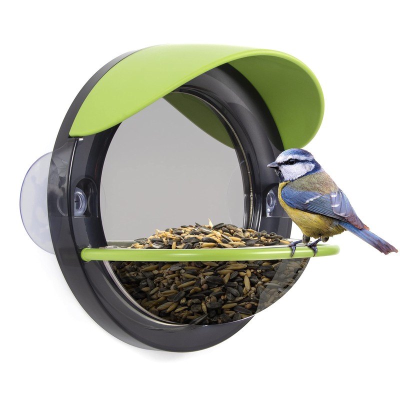 My Living World LW105 Window Bird Feeder, Multicolor