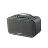 Gemini GTR300 Portable BTTERY Powered BLU SPK,Black
