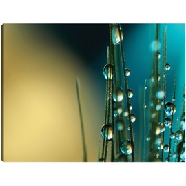 Fine Art Canvas Grass Seed with Blue Canvas Wall Decor by Artist Sharon Johnstone for Living Room, Bedroom, Bathroom, Kitchen, Office, Bar, Dining & Guest Room - Ready to Hang - 16 in x 12 in