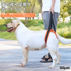 [GIIPET] Dog Care Harness for Rear Feet, Dog Walking Assistant Harness, Nursing Harness, Behind Legs Harness, Walking Support, Dog Harness, Walking Assistance, Protection Dog, Joint Support