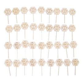 Watch Me Grow Succulent Tags, Please Grow Sign Thank You for Helping Me Grow Planter Decorations Eco Friendly for Succulents Potted Plants Wooden Baby Shower Favor Gift Tag 36Pcs