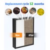 BreshAir True HEPA Replacement Filter Compatible with Hunter HEPAtech &