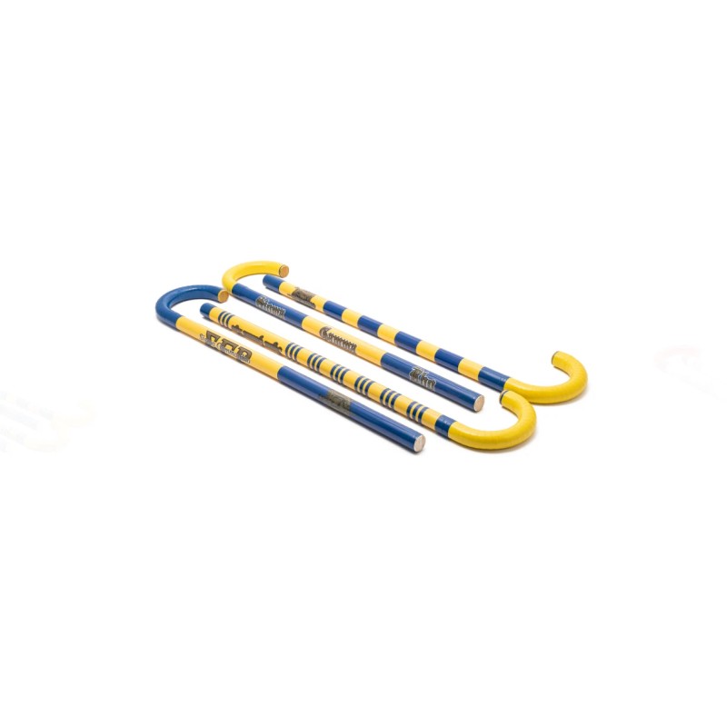 Sigma Gamma Rho Cane - Wide Block Small SGRho