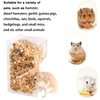 Lucky Interests 2 pcs Hamster Automatic Feeder, Hamster Food Dispenser