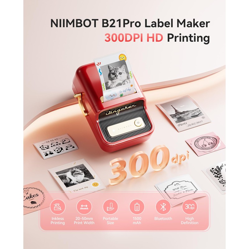 NIIMBOT B21 Pro Label Maker, 300DPI HD Label Printer, Ideal