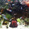 NOLITOY Aquarium Decorations Volcano Landscape Fish Tank Bubbler Ornaments for