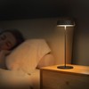 Palmina 901 LED Table Lamp Dimmable, 4400 mAh LED Table