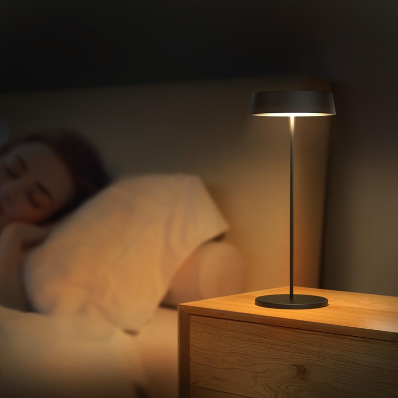 Palmina 901 LED Table Lamp Dimmable, 4400 mAh LED Table