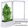 vacane Herb Keeper for Refrigerator, Fresh Herb Saver Herb Storage