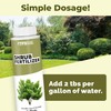 Shrub Fertilizer, Complete Liquid Shrub Plant Food, 8 oz (250mL)