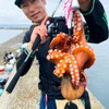 Tsubay Light Game WORM AZW-M M004# Brown/Red Glitter Azurro Crab