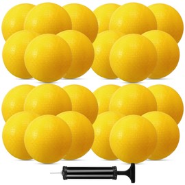 CACASO 24 Pcs Playground Balls,6 Inch Inflatable Dodge Balls,Sport Bouncy Balls with a Hand Pump,Dodgeball Balls for Indoors Outdoors Ball Games,Gym,School,Camps,Picnic