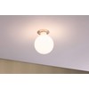 Paulmann 28701 LED Filament Globe Lamp, 7.5 W, Dimmable Opal