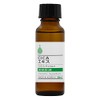 CICA Extract, 1.0 fl oz (30 ml), Cosmetics, Beauty Solid,