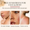 Rice Korean Sunscreen for Face SPF 50, Rice Probiotics Daily