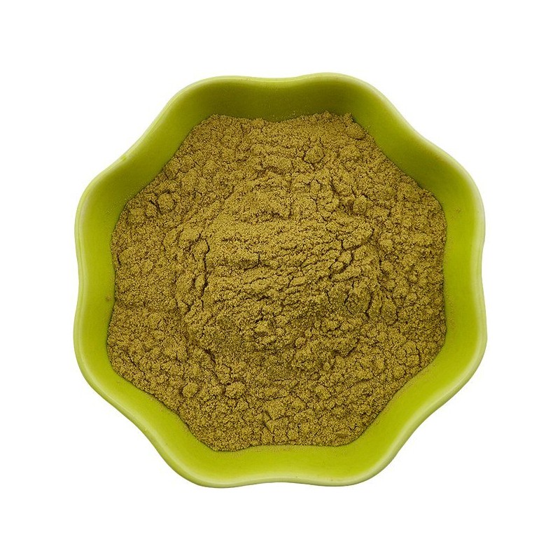 푸드팜 풋사과 추출분말 500g Foodfarm Green Apple Extract Powder 500g