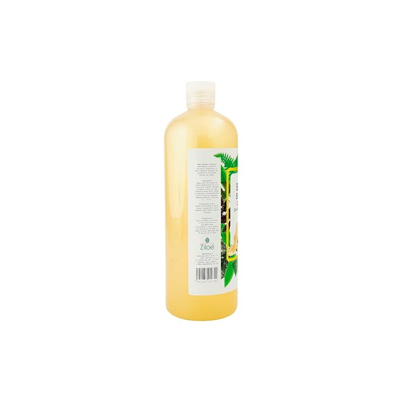 Shampoo Baño Botánico Crecimiento 1lt