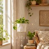 Sun Catcher Plant Hanger with Beads, Glass Crystal Ball Decor