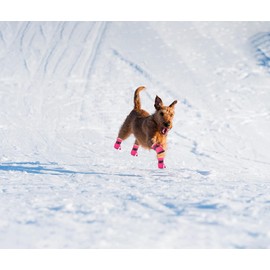 YAODHAOD YAODHAOD Dog Shoes for Winter, Dog Boots & Paw Protectors, Fleece Warm Snow Booties for Puppy with Reflective Strip Anti-Slip Rubber Sole for Small Medium Size Dogs,Size 5: 1.9"x1.5" (L*W),Pink