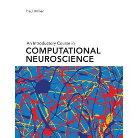 An Introductory Course in Computational Neuroscience (Computational Neuroscience Series)