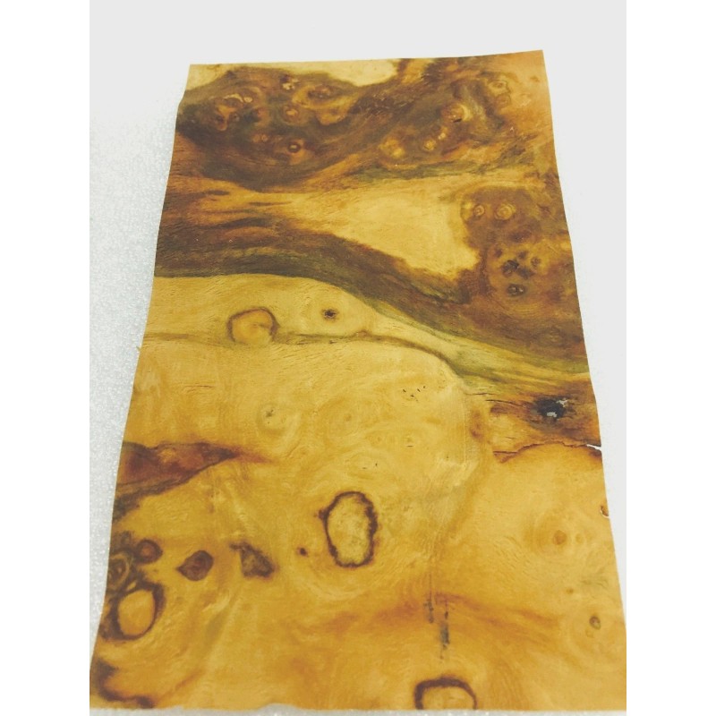 Pimento Pepperwood Burl wood veneer 3" x 5" raw with