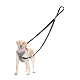 PetBonus Two Point Control Dog Leash, Works with No Pull Harnesses, No Tangle Dog Training Leashes, No Pull Padded and Reflective Walking Lead, Converts to Single Leash for Medium large dogs