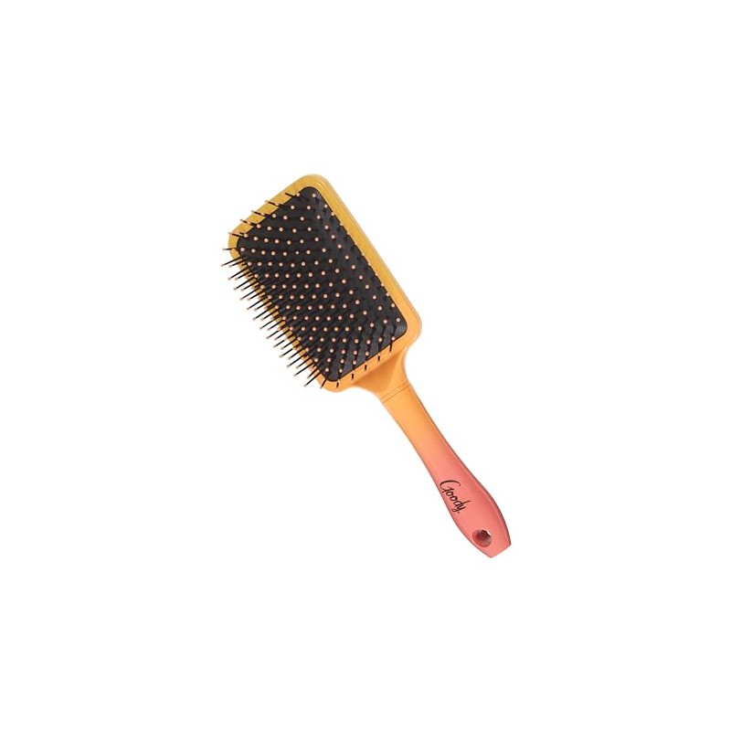 Goody 17365GDY Cepillar Ombre Paddle, 1 uds