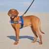 Annchwool No Pull Dog Harness with Airtag Case and Two