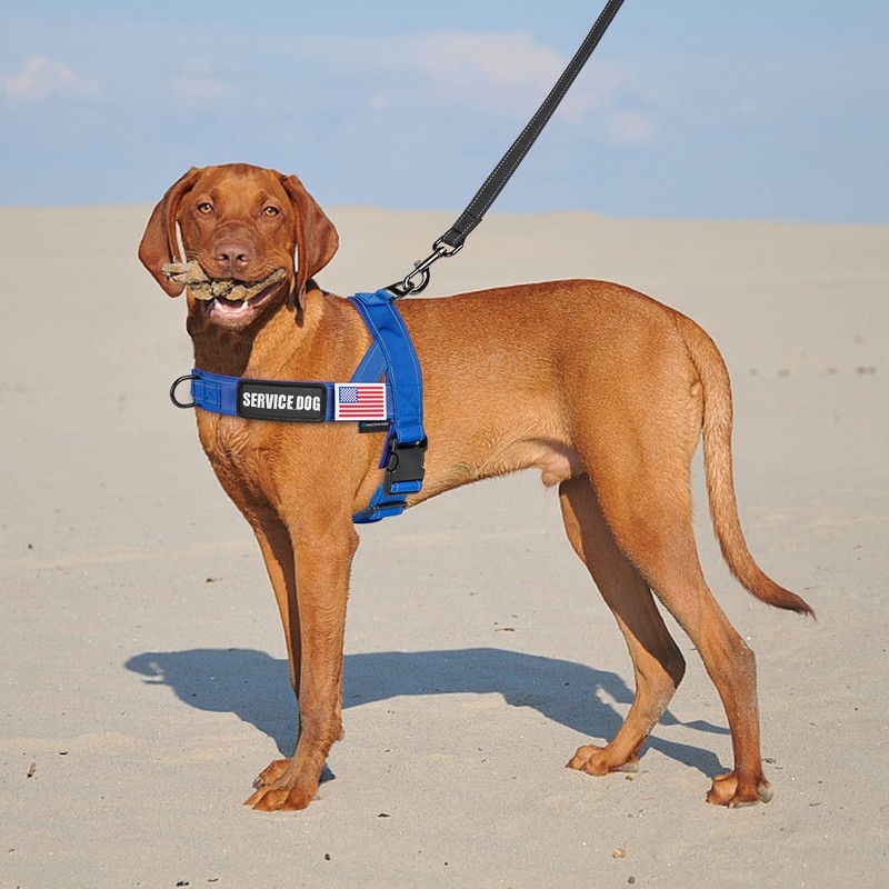 Annchwool No Pull Dog Harness with Airtag Case and Two