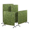 Coarbor 40" H x 40" W Mobile Hedge Room Divider